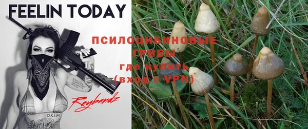 PSILOCYBIN Володарск